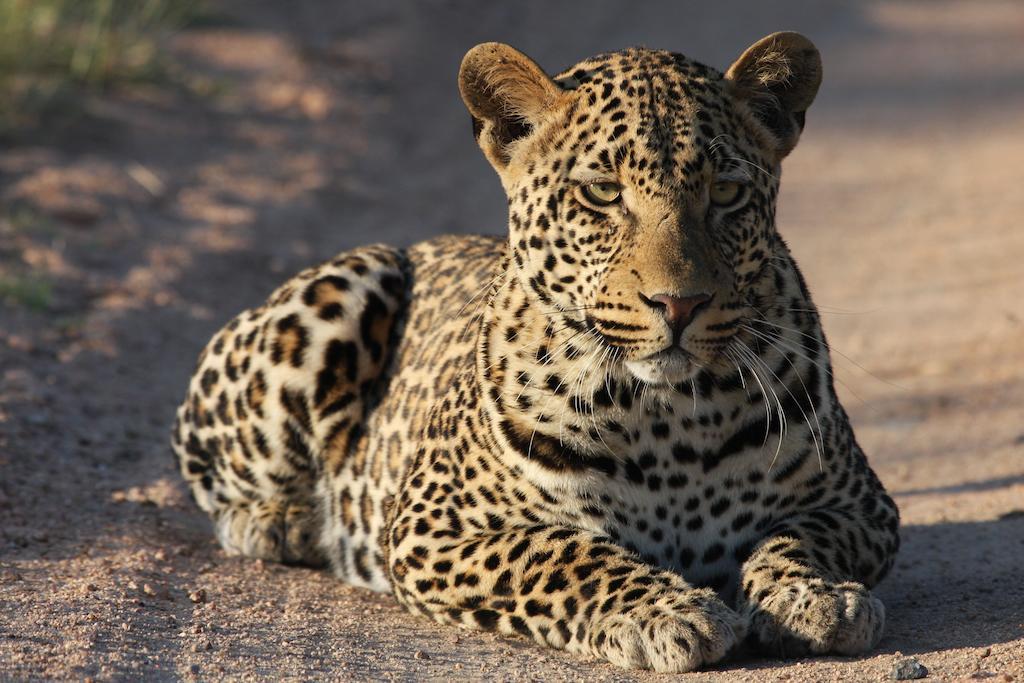 Tutwa Desert Lodge Augrabies Экстерьер фото